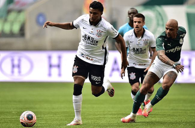 尔还是维尼 尔还是维尼