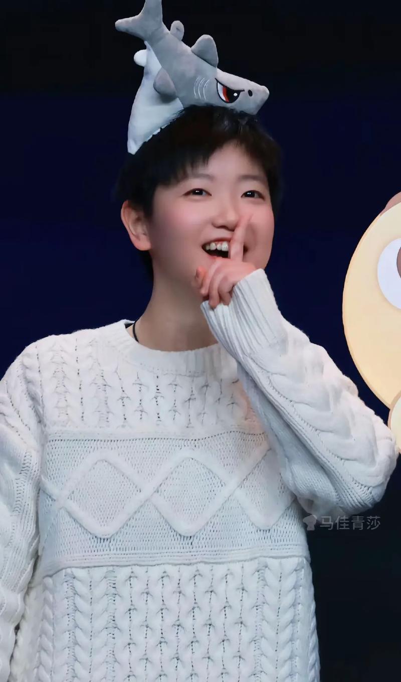 方案